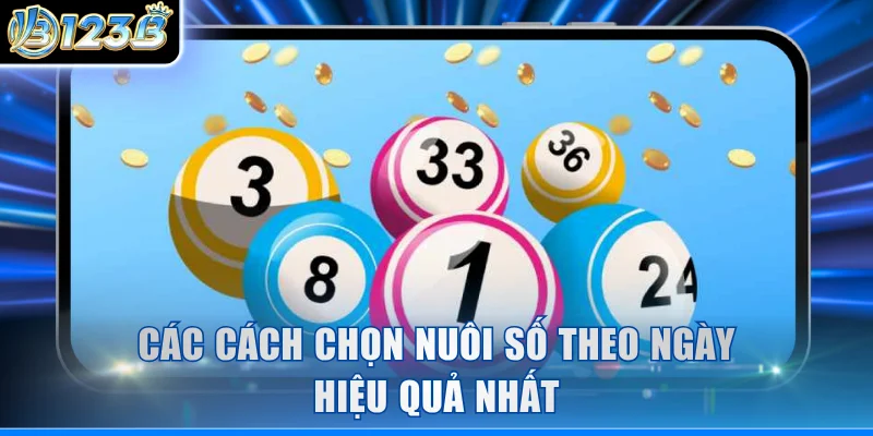 Các cách chọn nuôi số theo ngày hiệu quả nhất