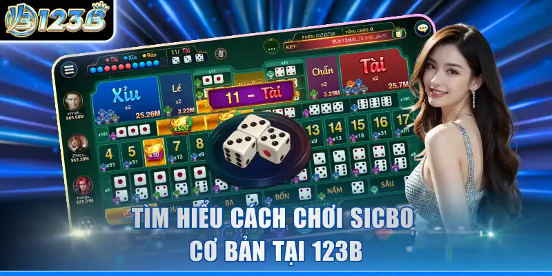 Tìm hiểu cách chơi Sicbo cơ bản tại 123B